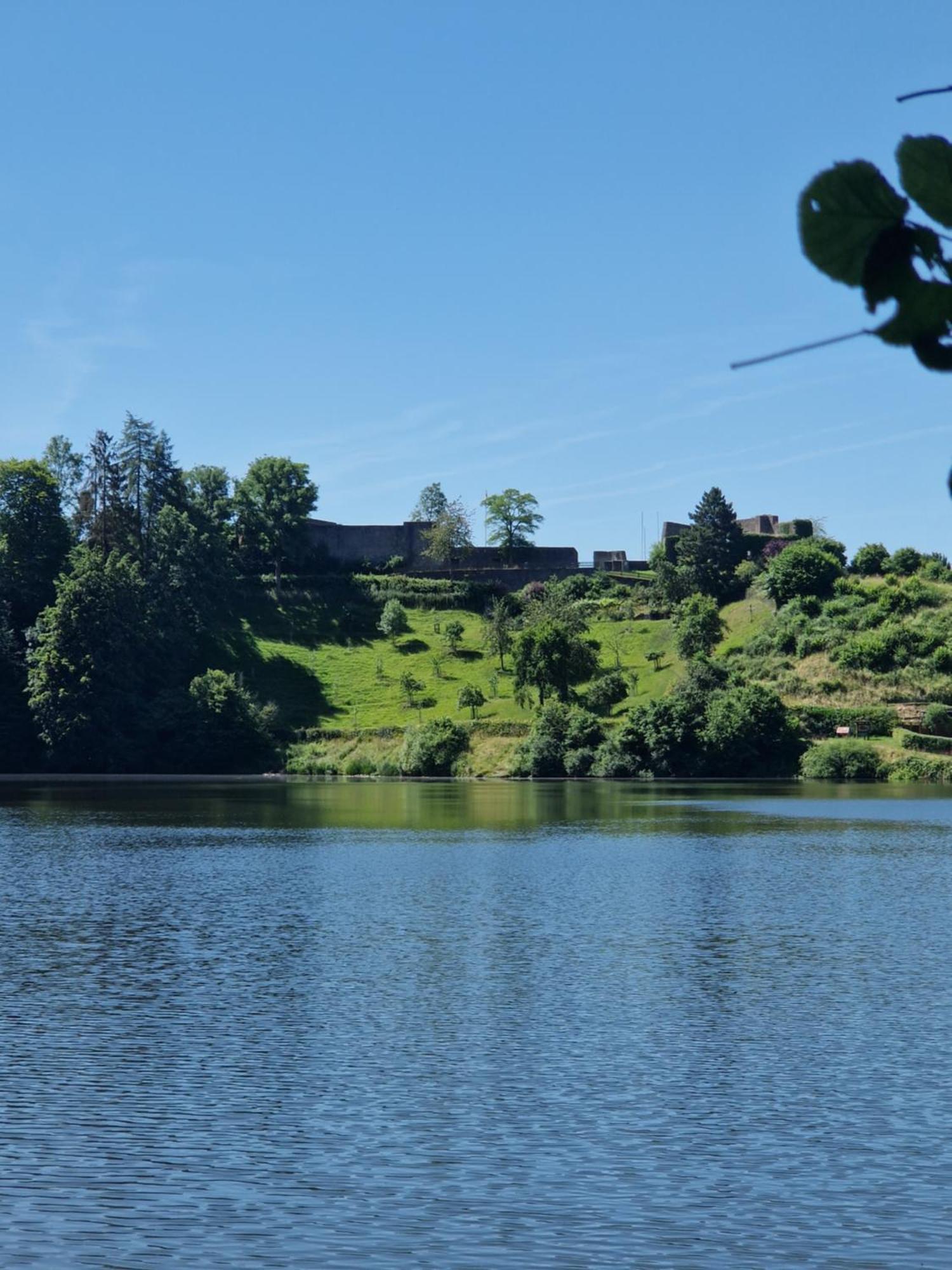 Gaestehaus "Am Weissen Stein" Cochem Eksteriør bilde